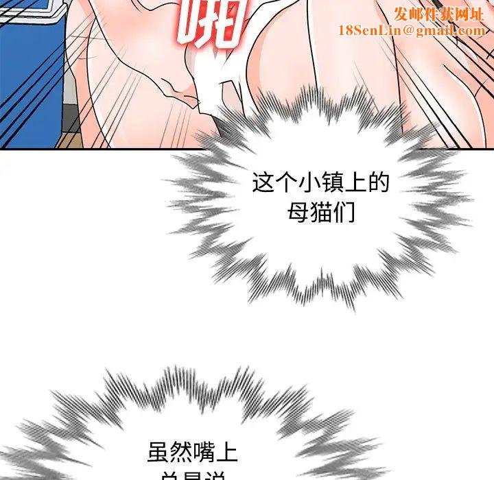 小镇上的女人们第40话