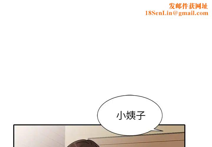 小镇上的女人们第45话