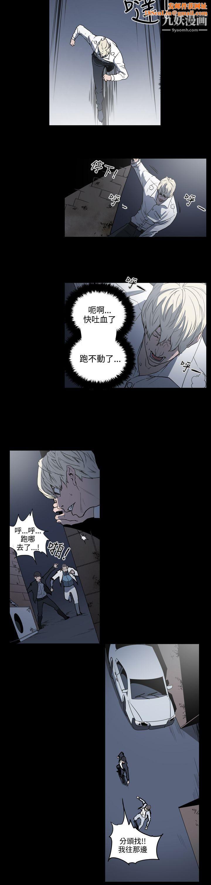 ACE:禁断的诈欺之夜第1季-最终话