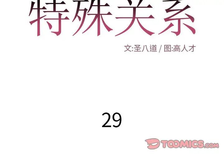 特殊关係第29话