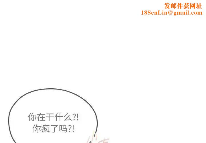 难以克制的欲望第9话