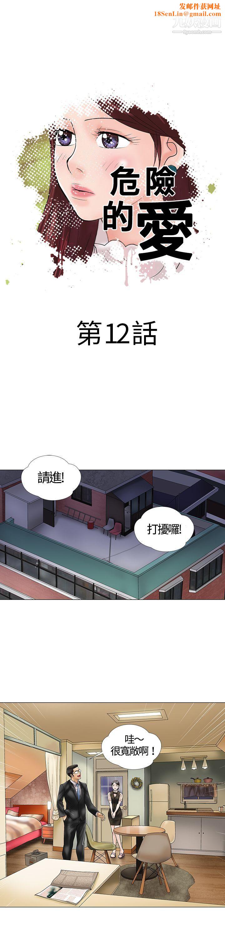 危险的爱第12话