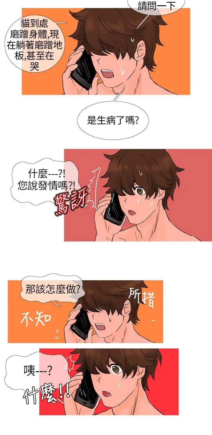 小野猫驯服手册第3话