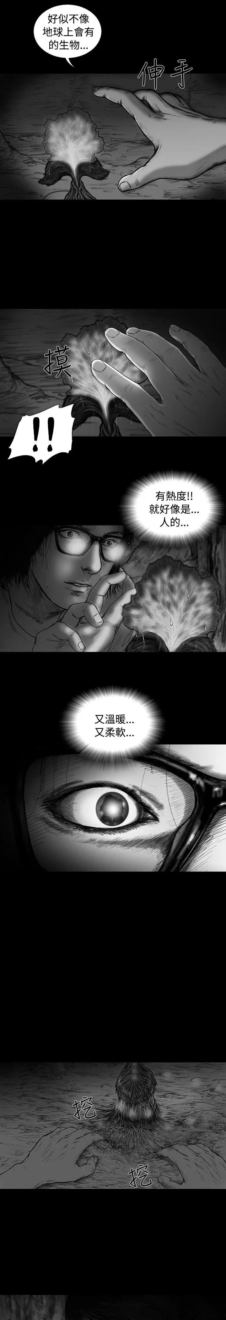 SEEDTheBeginning第10话