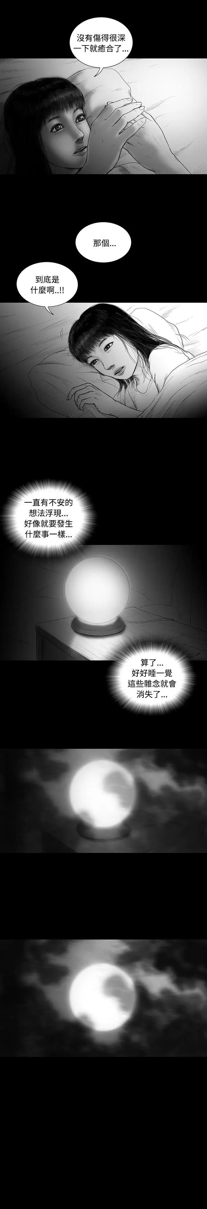 SEEDTheBeginning第13话