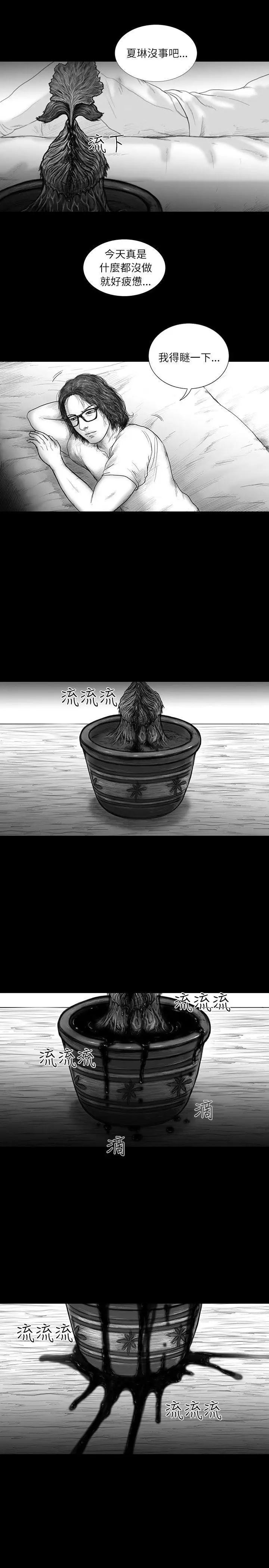 SEEDTheBeginning第14话