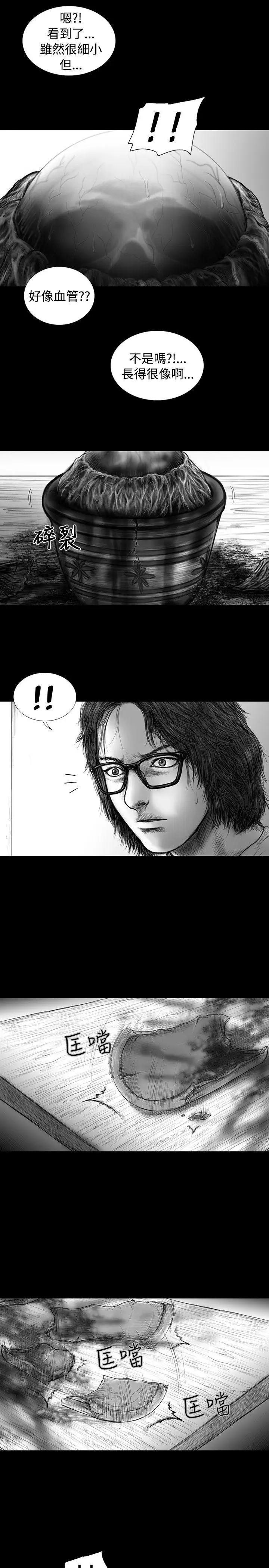 SEEDTheBeginning第15话