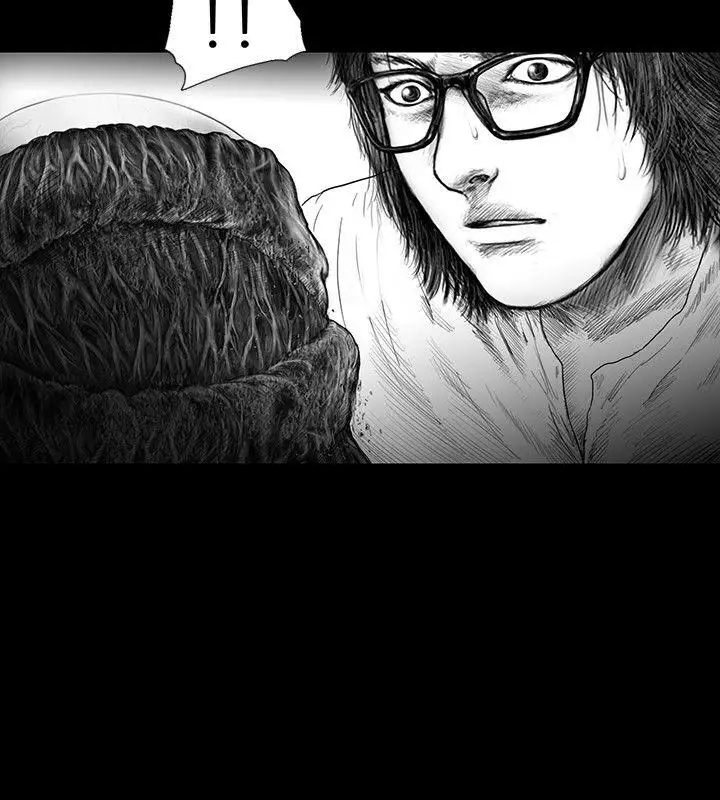 SEEDTheBeginning第15话