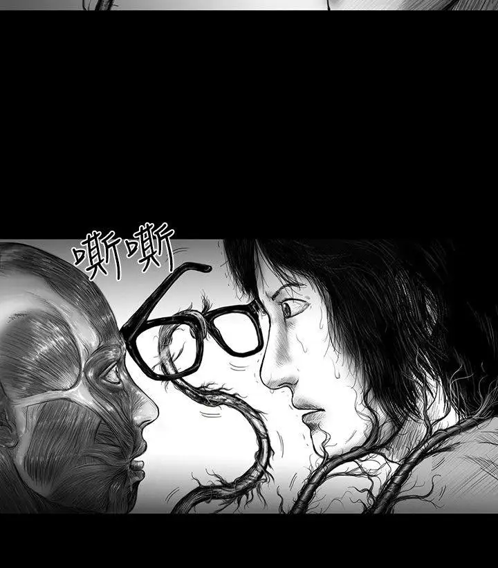 SEEDTheBeginning第19话