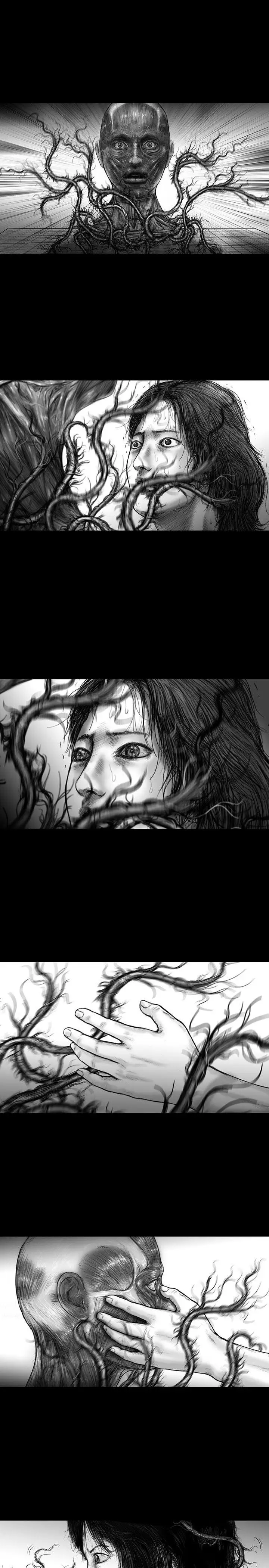 SEEDTheBeginning第20话