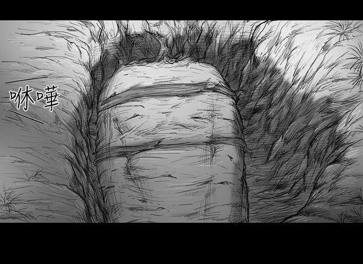 SEEDTheBeginning第29话