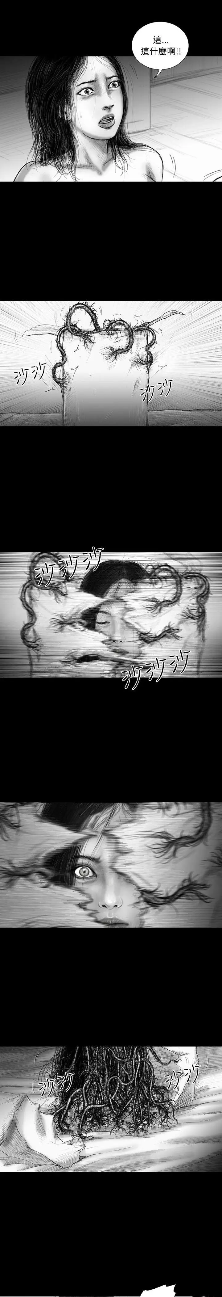 SEEDTheBeginning第34话