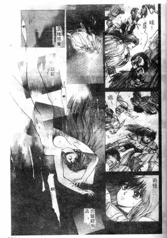 暗黑破坏神第13卷