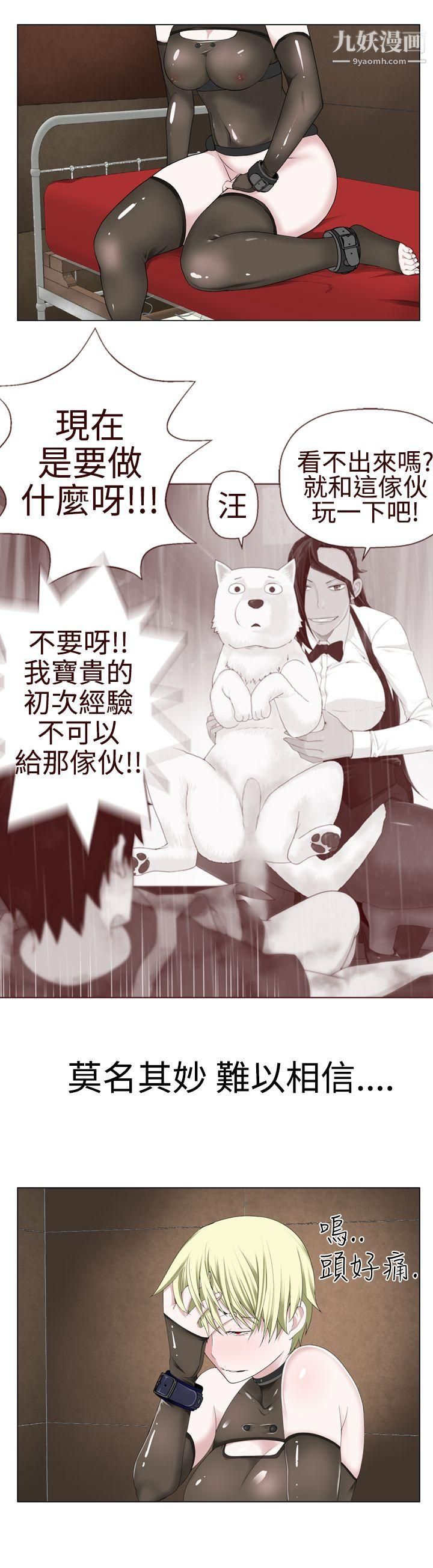 为爱而生法兰克赵第12话