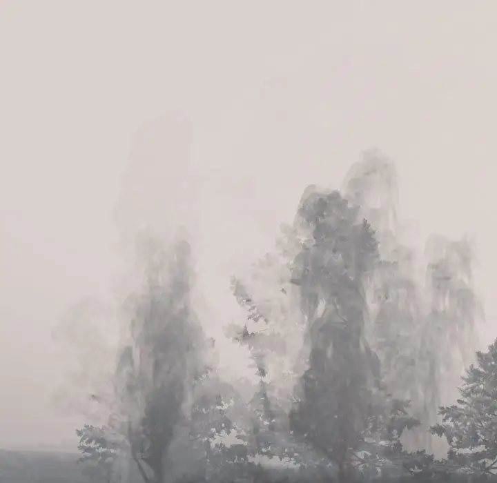 逍遥游第29章
