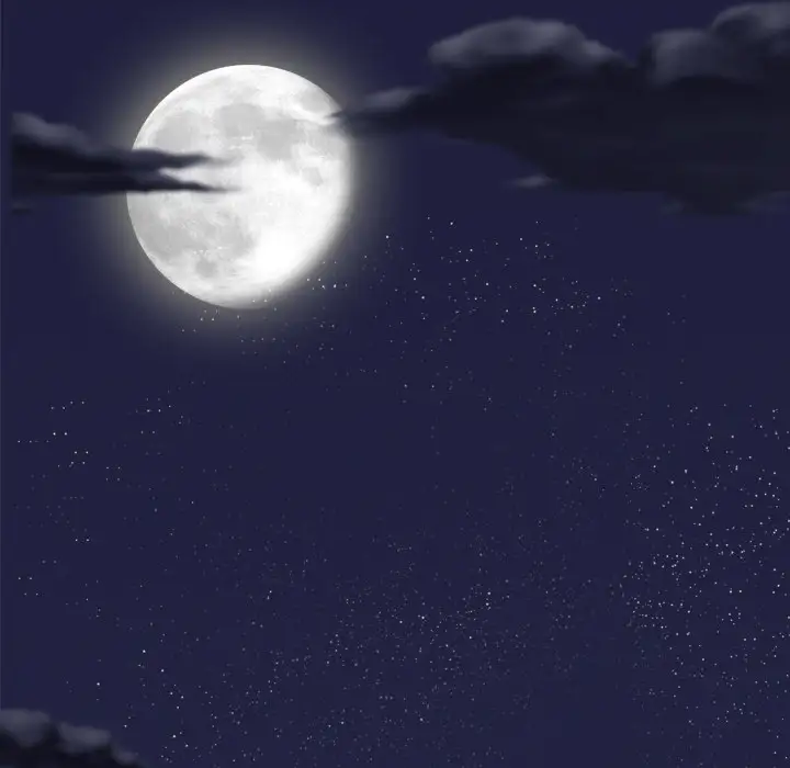 美人为馅第29话