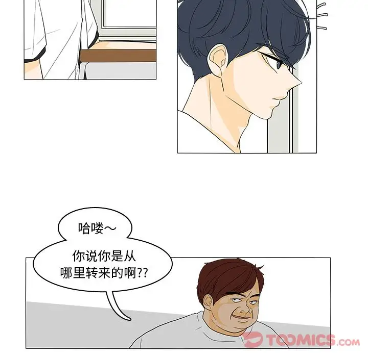 鱼缸中的花园第43章