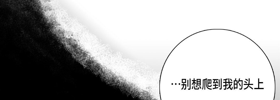 完美无缺的虏获第14话