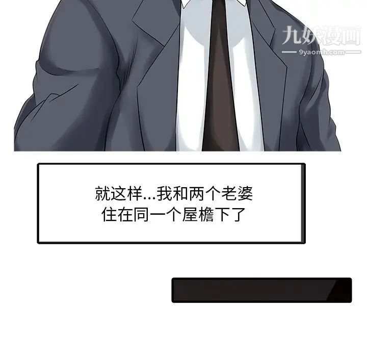 家有双妻最终话