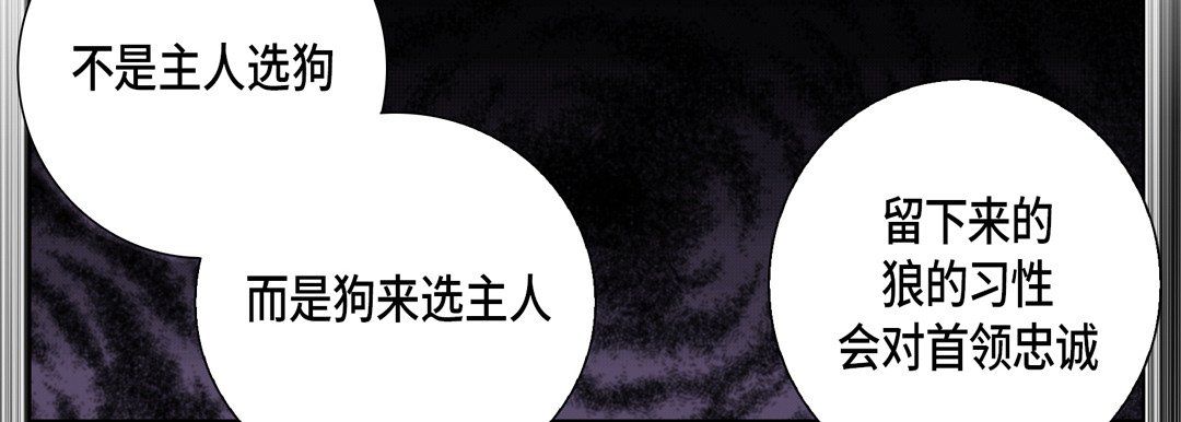 完美无缺的虏获第25话