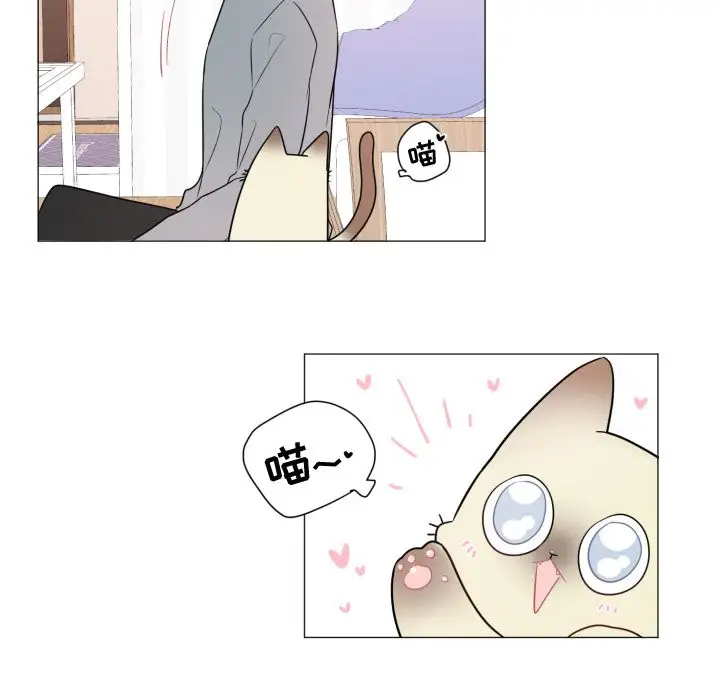 以爱为画第18章