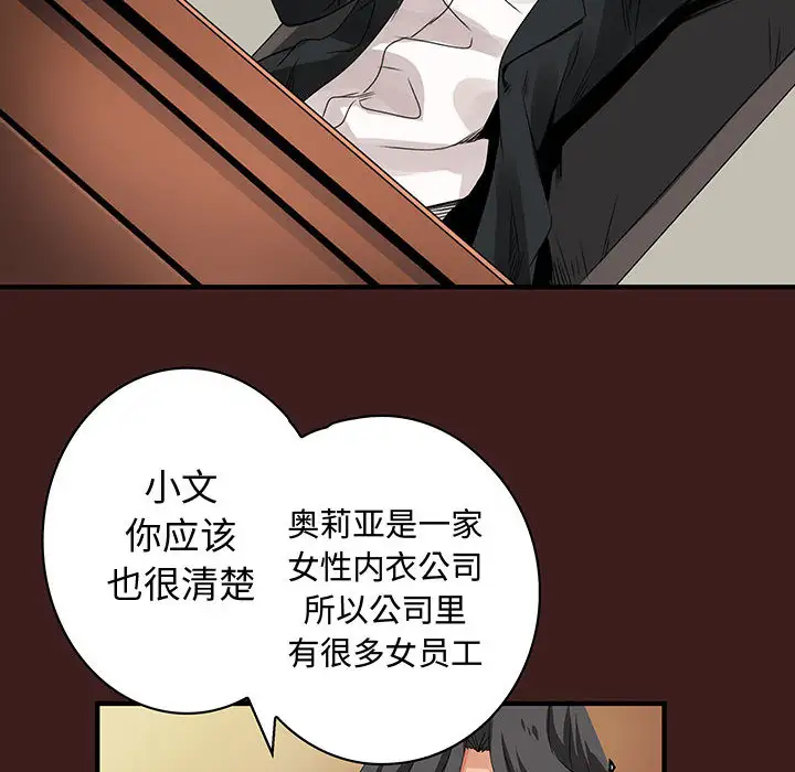 内衣社的新职员第19章