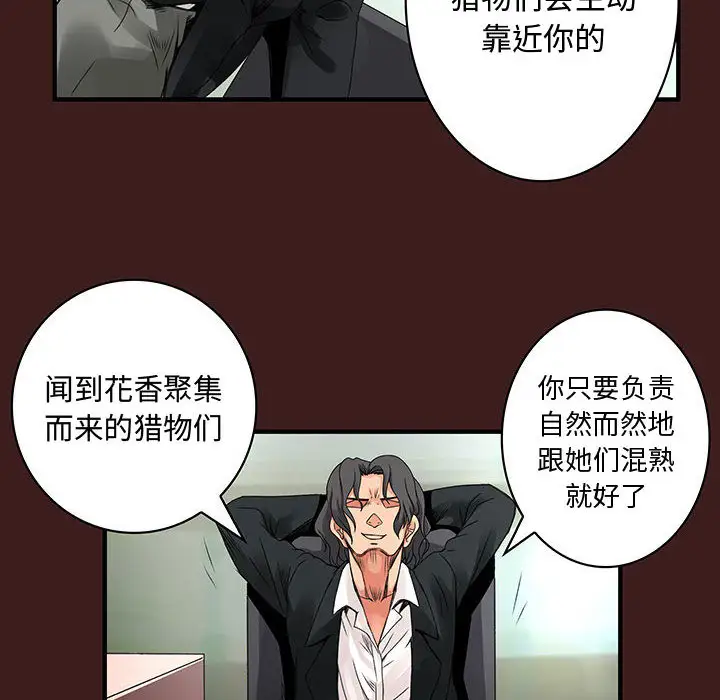 内衣社的新职员第19章