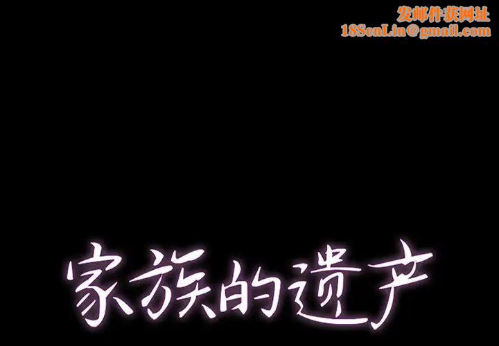 家族的遗产第11话
