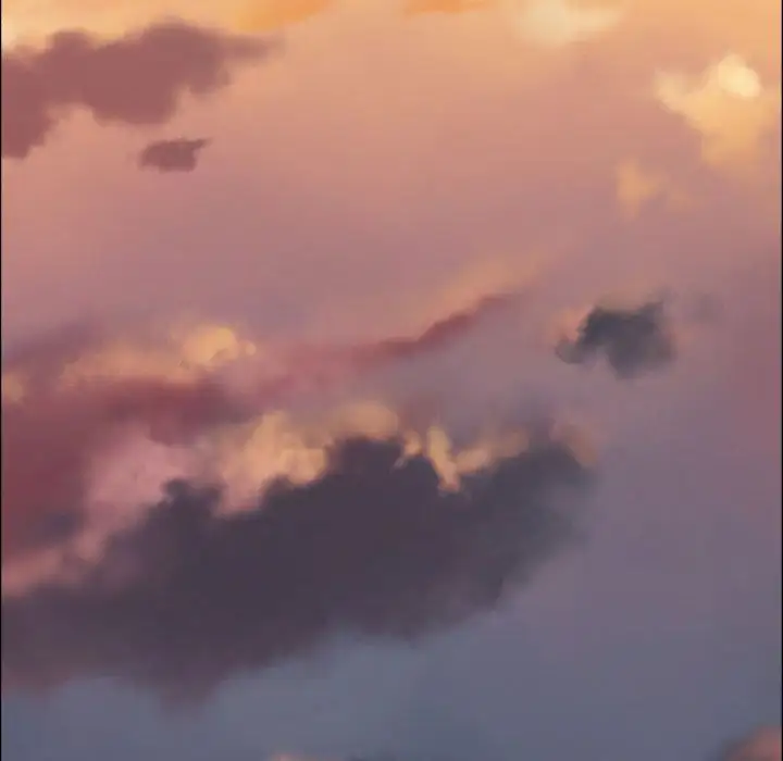 只为满足你第52章