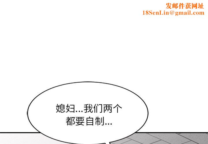 我的美女媳妇第27话