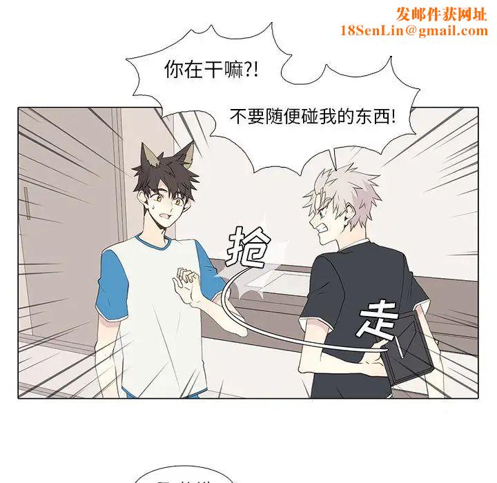 野性之城第15话