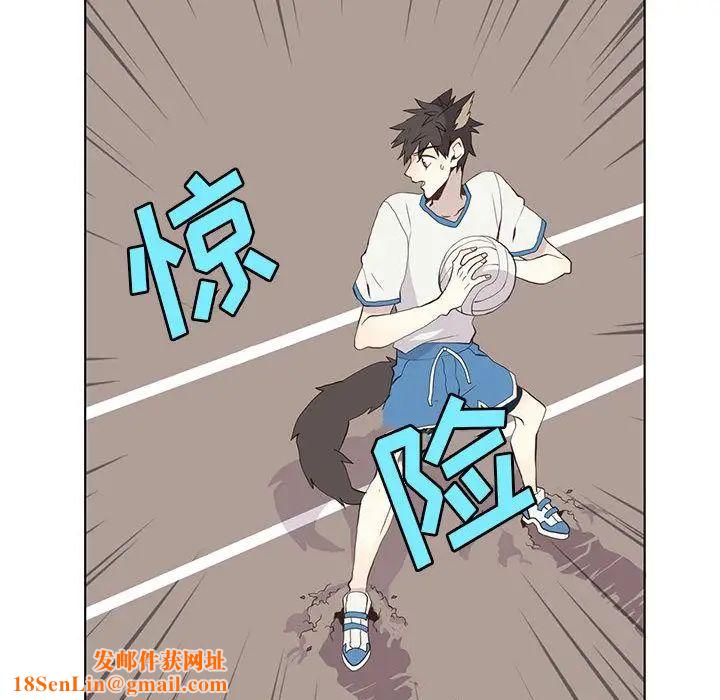 野性之城第23章