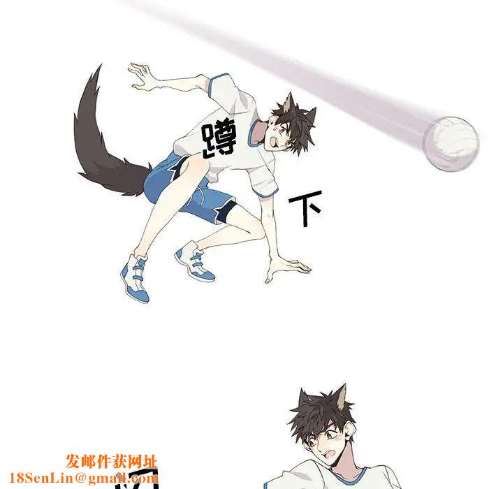 野性之城第24章