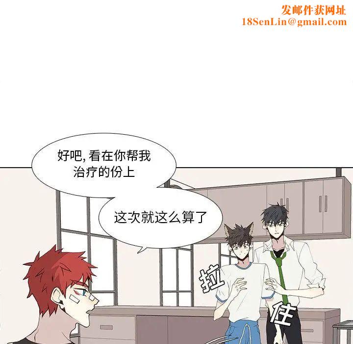 野性之城第26章