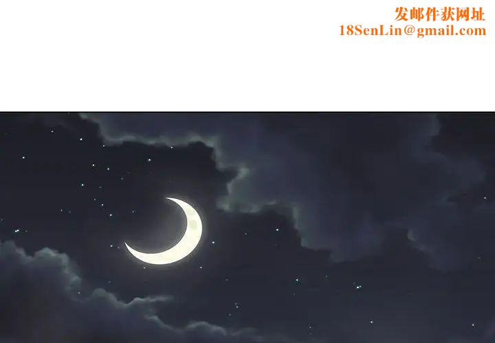 野性之城第27章