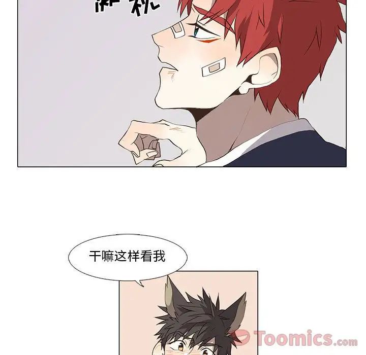 野性之城第31章