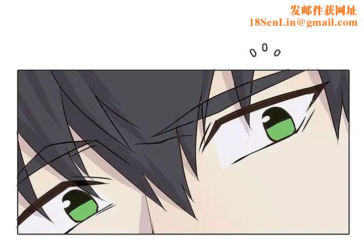 野性之城第40章