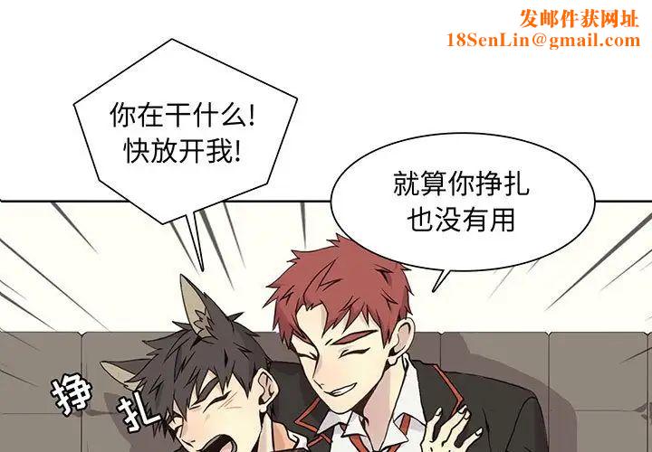 野性之城第63话