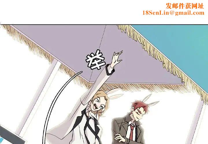 野性之城第72话