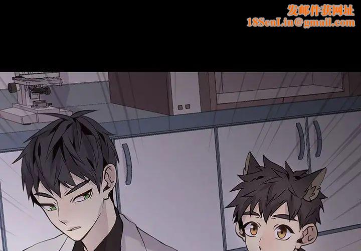 野性之城第105话