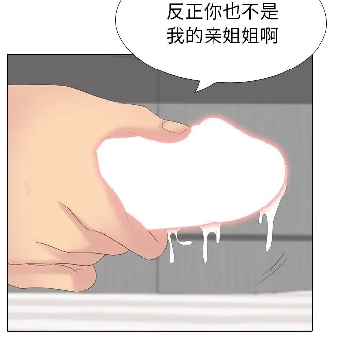 姊姊的秘密日记第28话