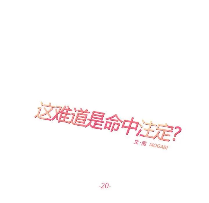 这难道是命中注定第20话