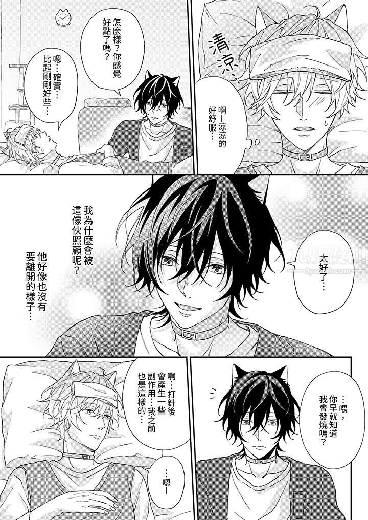 哈鲁和路伊的二喵世界lovelife！第2话