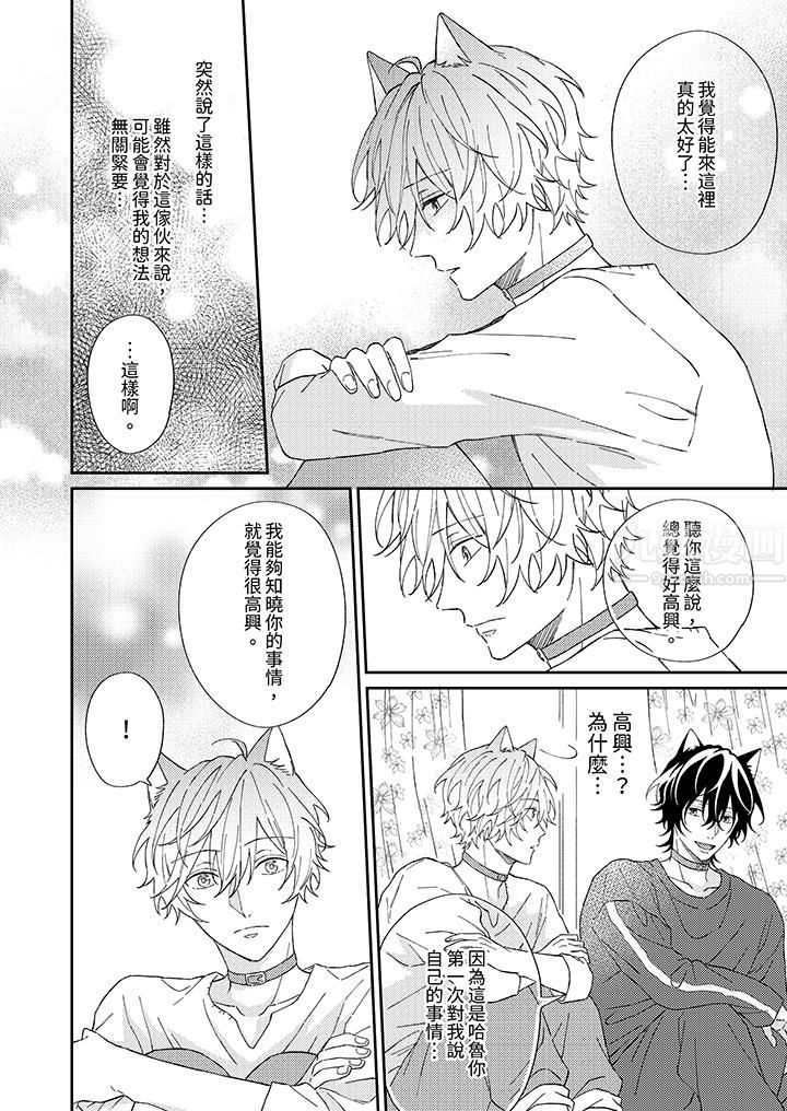 哈鲁和路伊的二喵世界lovelife!第3话