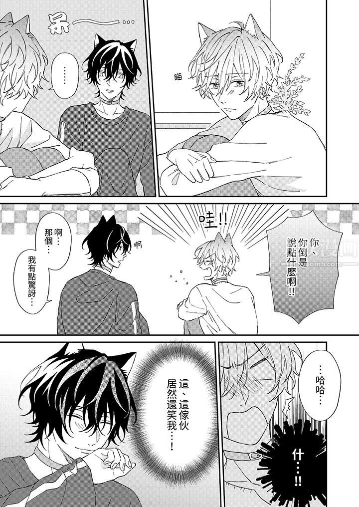 哈鲁和路伊的二喵世界lovelife！第3话