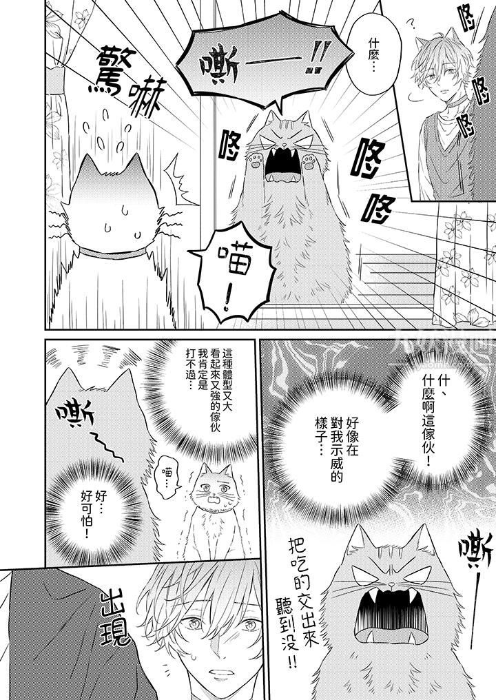 哈鲁和路伊的二喵世界lovelife!第5话