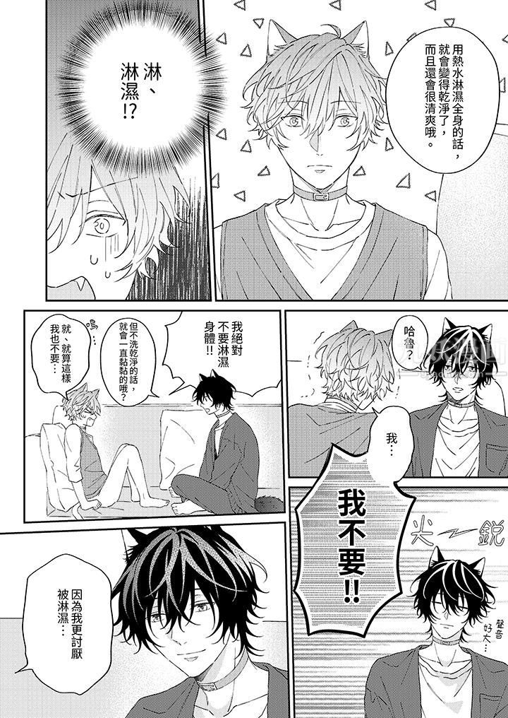 哈鲁和路伊的二喵世界lovelife！第7话