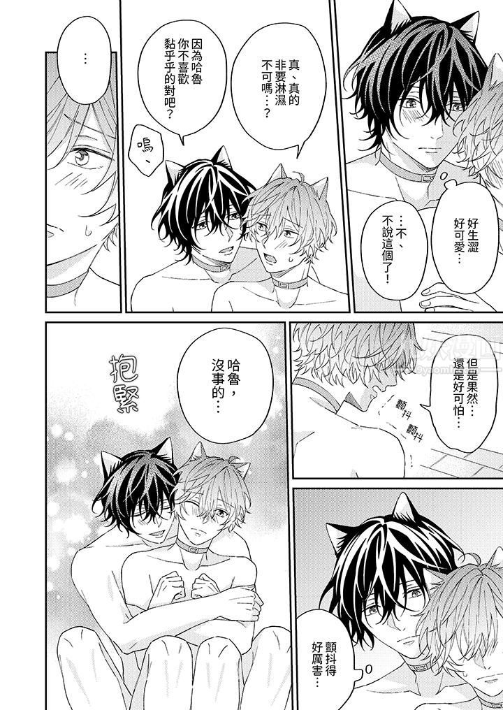 哈鲁和路伊的二喵世界lovelife!第7话