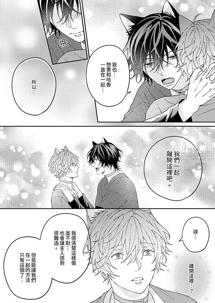 哈鲁和路伊的二喵世界lovelife!第9话