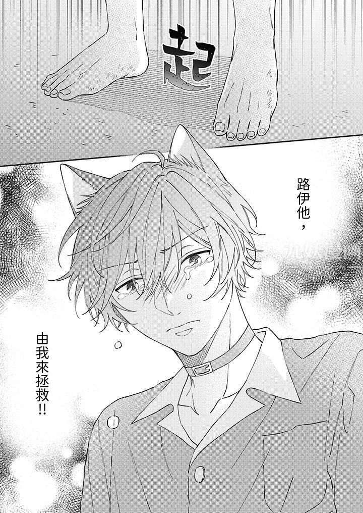 哈鲁和路伊的二喵世界lovelife！第10话